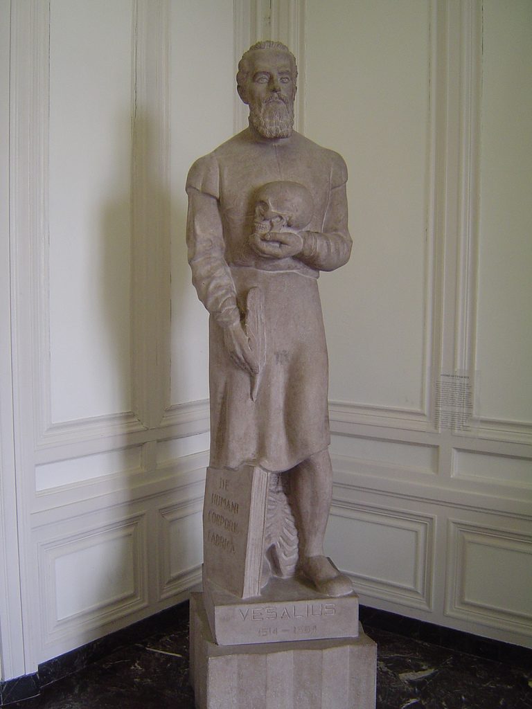 IMSS%2C%20Chicago%2C%202%20-%20Andreas%20Vesalius%20statue.jpg